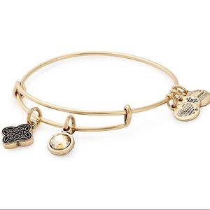Alex & Ani Wisdom duo charm bangle